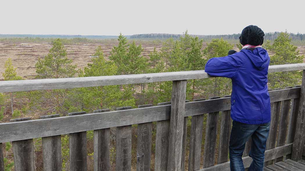 A hiker looks out over a marsh while leaning on a railing.