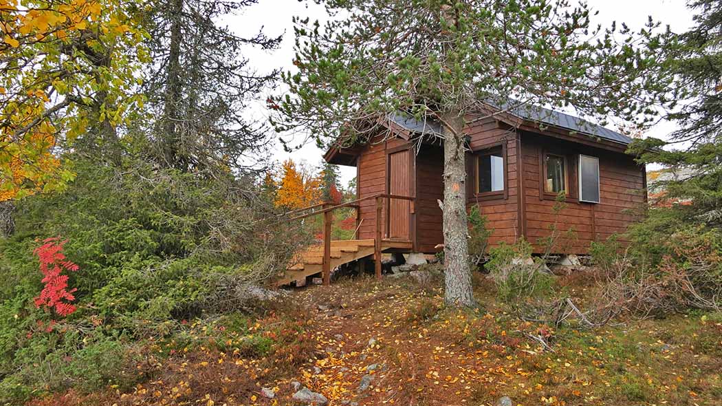 A new open wilderness hut surrounded by pines and spruces.