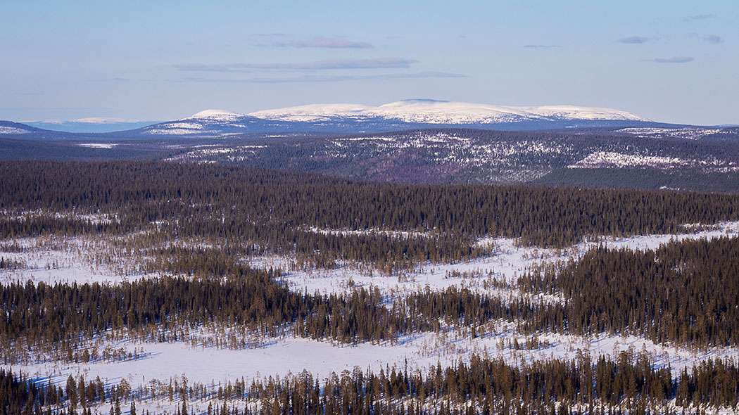 The picture shows the winter mountain and forest landscape. The picture is taken from above.