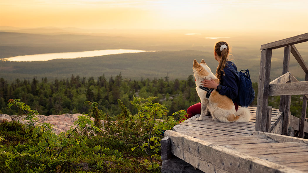 A woman and a dog sitting on the stairs watching the landscape in the evening sun.